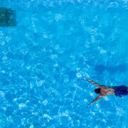 Le Provencal Renove En 2025 - Bord De 3* Hyères