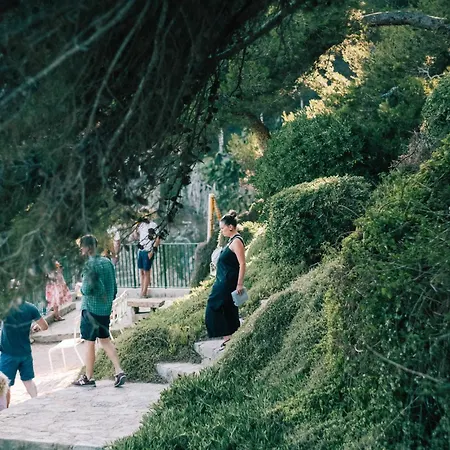 Szálloda Le Provencal Renove En 2025 - Bord De