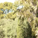 Hotel Le Provencal - Renove En 2025 - Bord De Hyères
