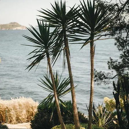 Otel Hotel Le Provencal A Giens - Bord De Mer 3*