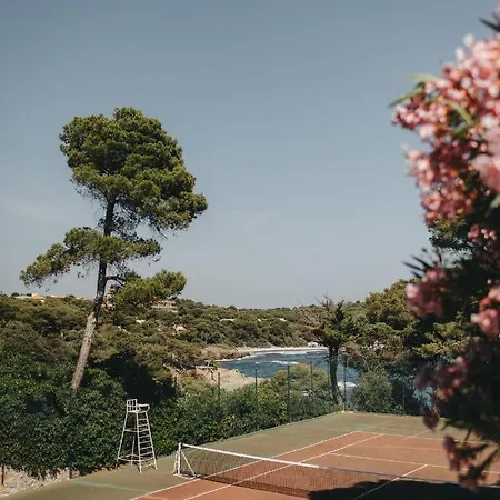 Provençal Hyères