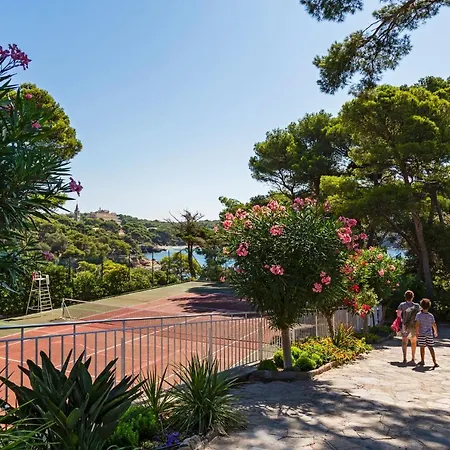 Provencal 3*
