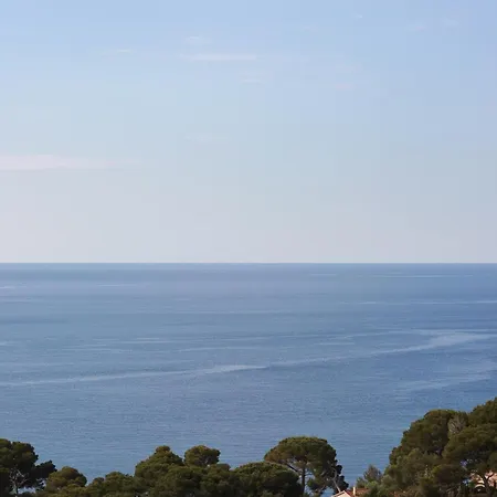 Provencal Hyères