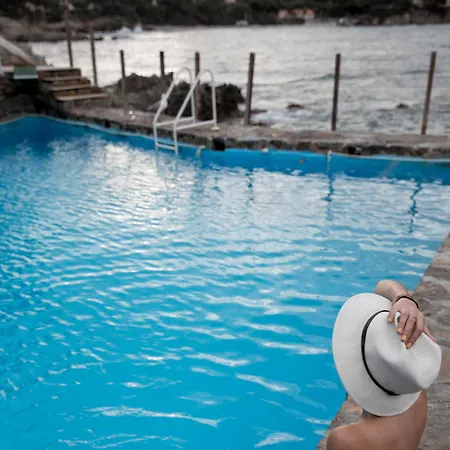 Hotel Le Provencal Renove En 2025 - Bord De Mer Hotel Hyeres