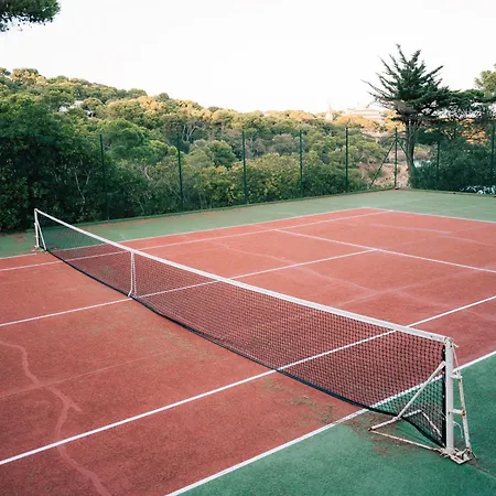 Le Provencal - Renove En 2025 - Bord De Hyères