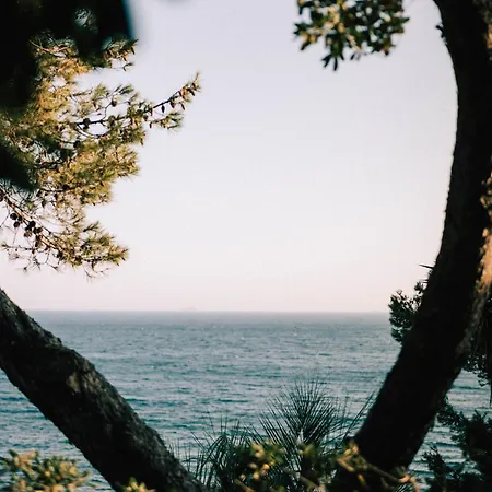 Hotel Le Provencal Renove En 2025 - Bord De Mer Hotel
