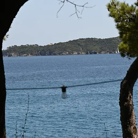 Hotel Hotel Le Provencal Renove En 2025 - Bord De Mer 3*