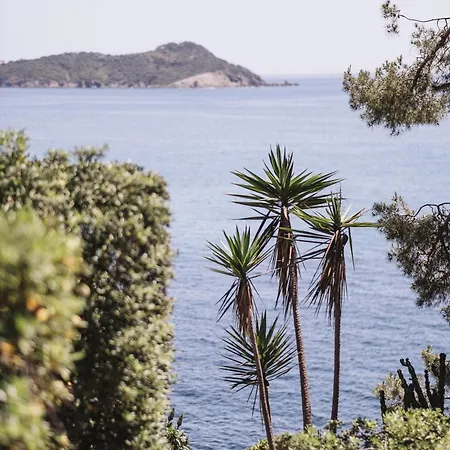 Le Provencal - Renove En 2025 - Bord De Hotell Hyères