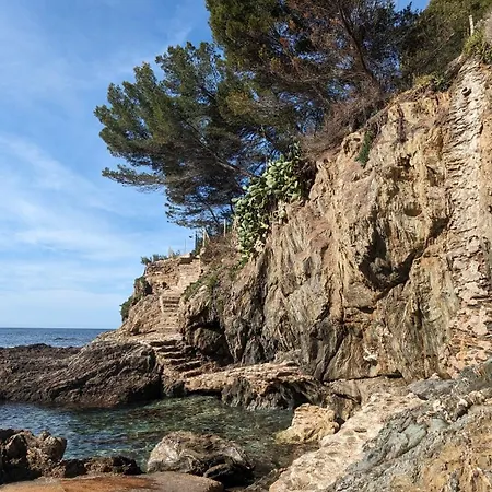 Hotel Le Provencal Renove En 2025 - Bord De Mer 3*