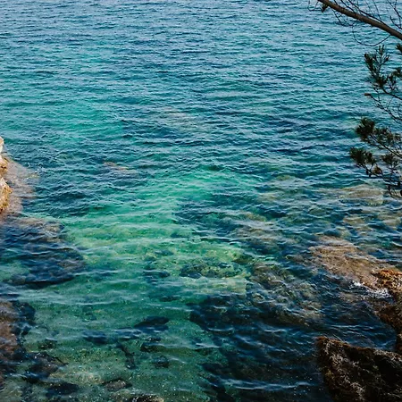 Hotel Le Provencal Renove En 2025 - Bord De Mer Hyeres