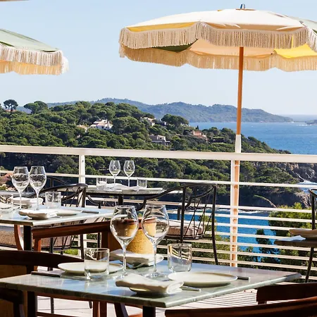 Hôtel Le Provençal - Rénové en 2025 - Bord de Mer 4* Hyères