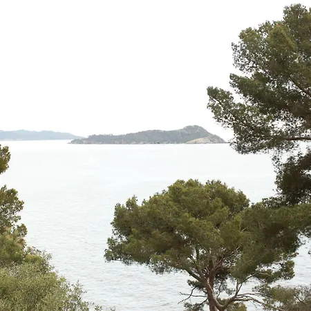 Hôtel Le Provençal - Rénové en 2025 - Bord de Mer Hotel 4*