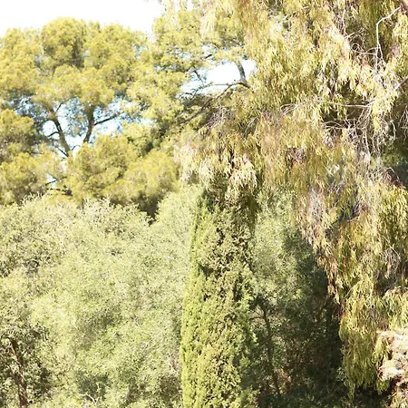 Hotel Hôtel Le Provençal - Rénové en 2025 - Bord de Mer Hyères