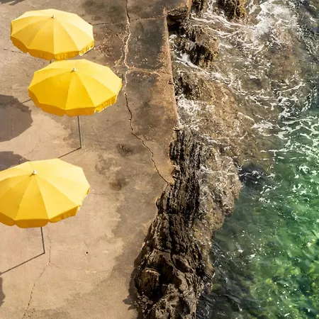 Hôtel Le Provençal - Rénové en 2025 - Bord de Mer 4* Hyères