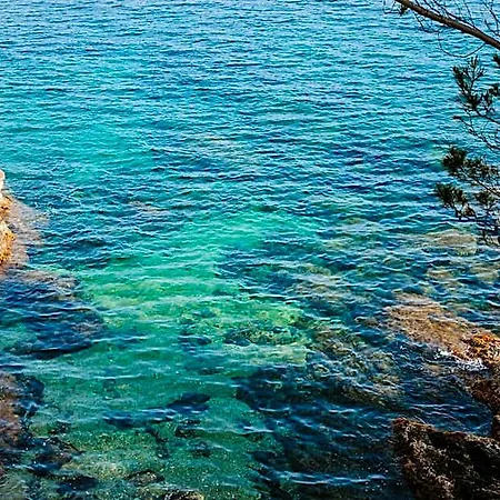 Le Provencal - Renove En 2025 - Bord De Hotel Hyeres