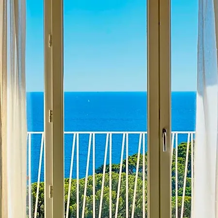 Le Provencal - Renove En 2025 - Bord De Hotel Hyeres