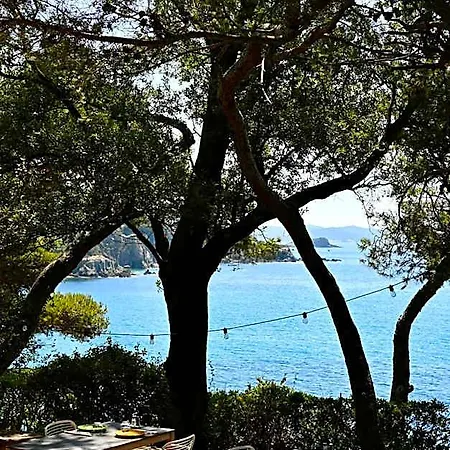 Le Provençal - Rénové En 2025 - Bord De Hyères