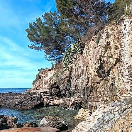Le Provençal - Rénové En 2025 - Bord De 4*