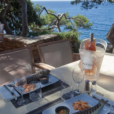Hotel Provencal Hyères