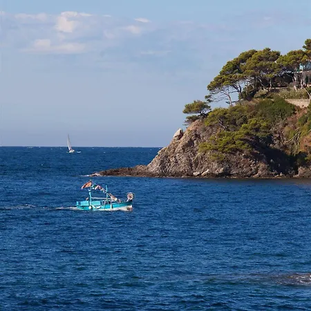 Hotel Le Provencal Renove En 2025 - Bord De Mer 3* Hyeres