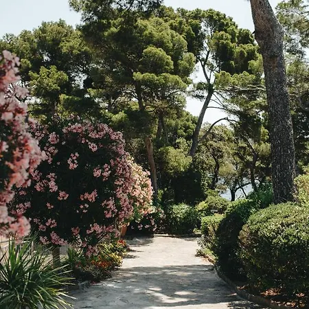 Provencal Hotel