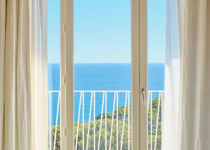 Hotel Le Provencal - Renove En 2025 - Bord De