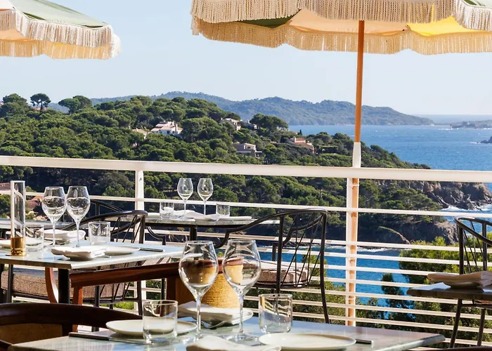Le Provencal - Renove En 2025 - Bord De 4* Hyeres