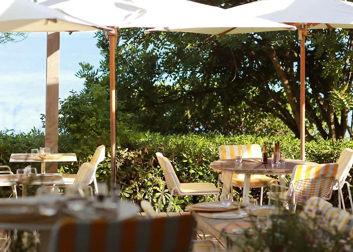 Le Provencal - Renove En 2025 - Bord De Hyeres