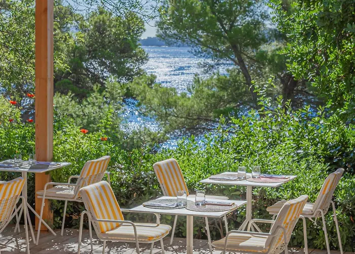 Le Provencal - Renove En 2025 - Bord De Hyeres